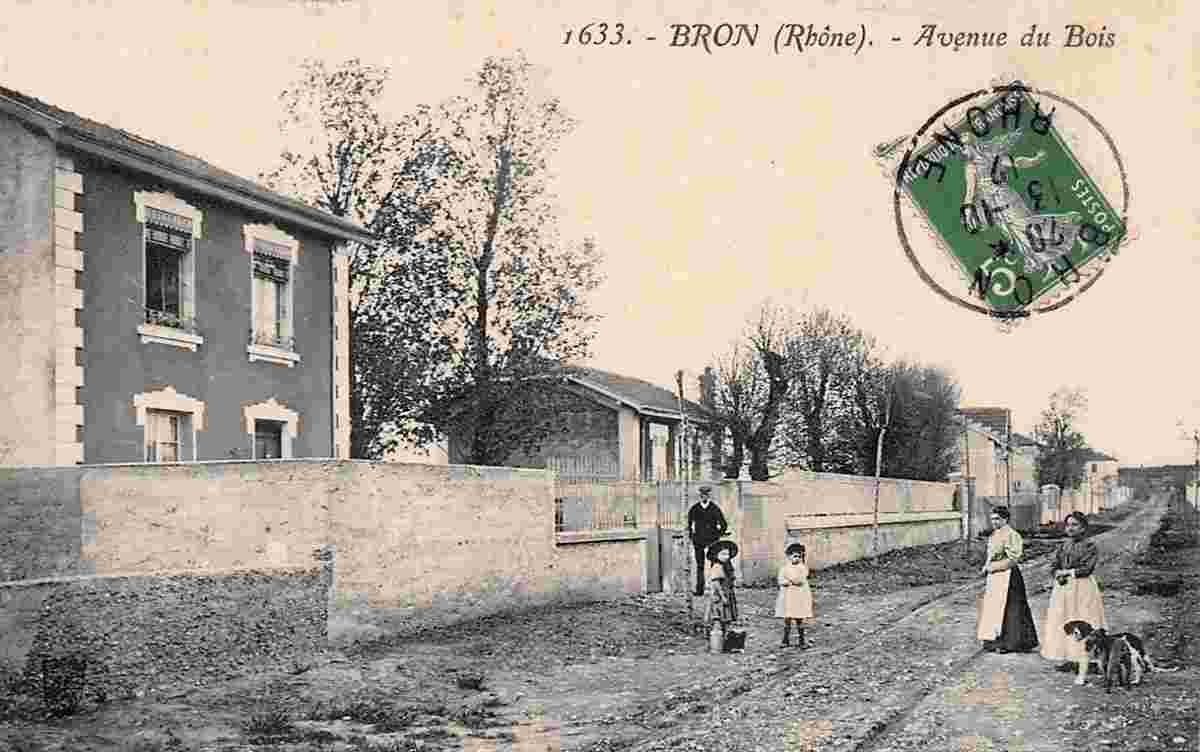 Bron. Avenue du Bois, 1912