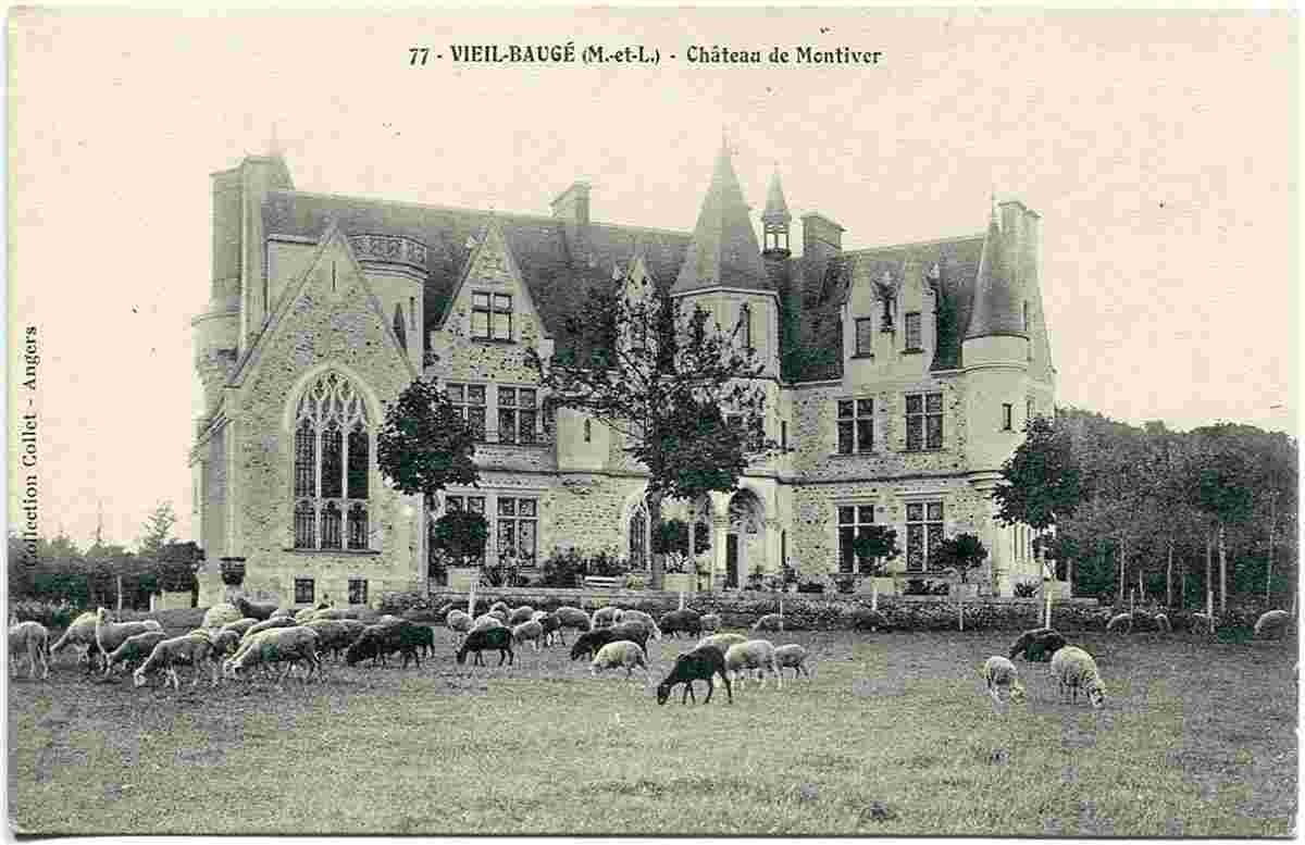 Baugé-en-Anjou. Vieil-Baugé - Château de Montivert, troupeau de moutons blancs et noirs