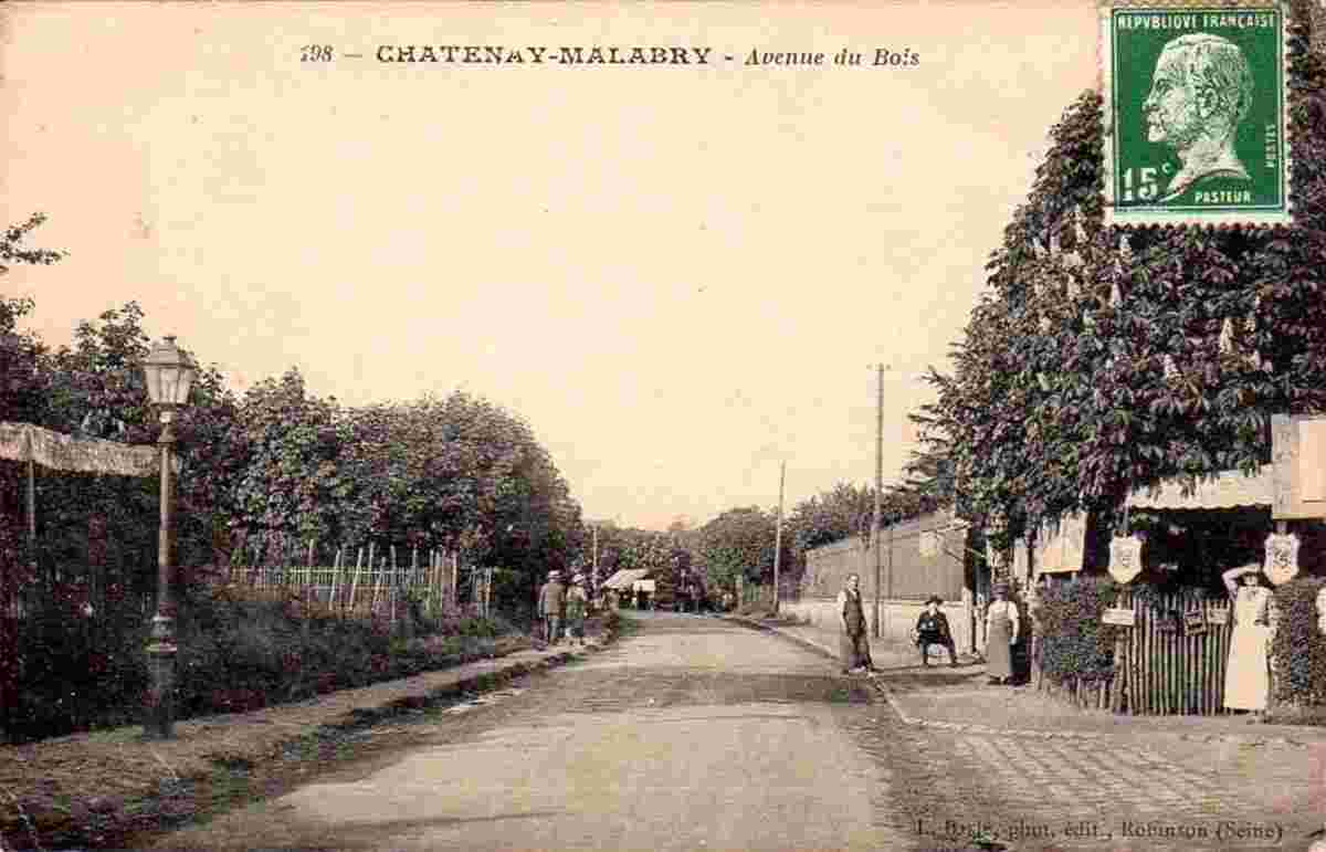 Châtenay-Malabry. Avenue du Bois
