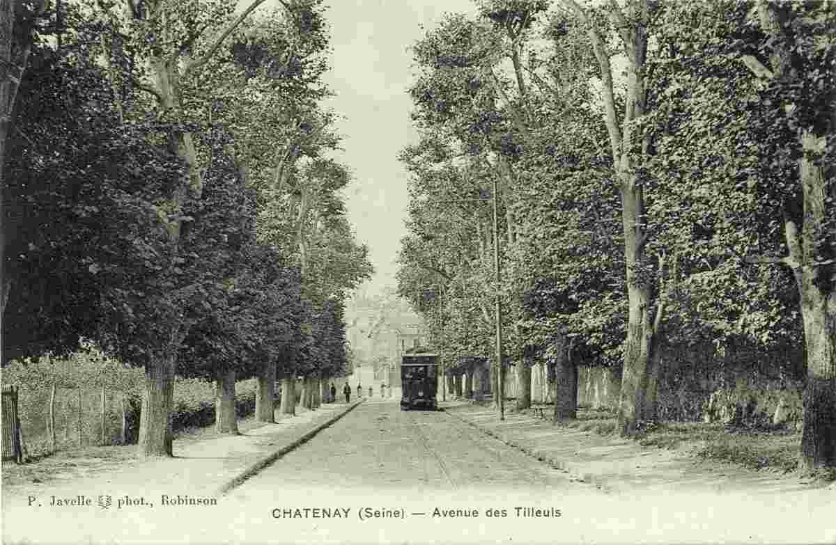Châtenay-Malabry. Avenue des Tilleuls