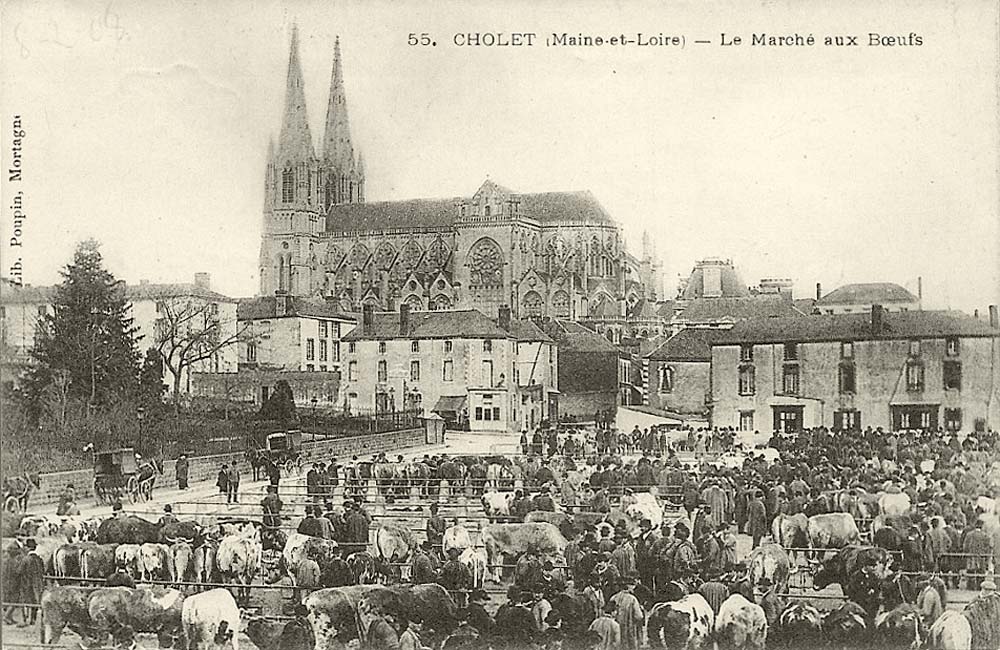 Cholet. Le Marché aux Boeufs, 1908