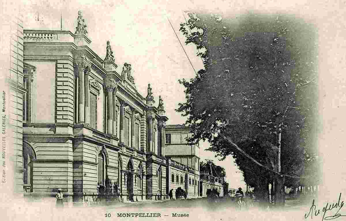 Montpellier. Musée, 1902